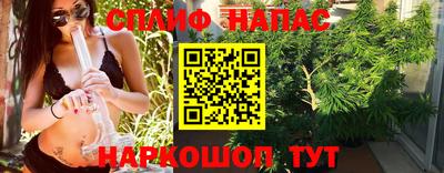 гашик Обнинск