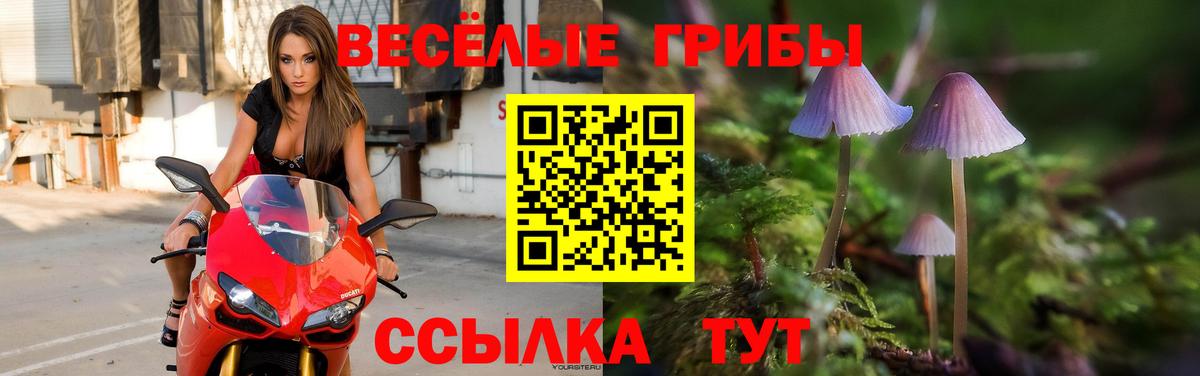 где купить наркотик  Галлюциногенные грибы мухоморы  Вход с VPN  Сыктывкар 