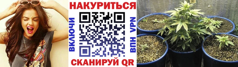 купить блэк спрут маркетплейс Бошки марихуана VHQ Сыктывкар